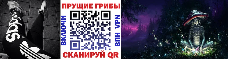 Псилоцибиновые грибы ЛСД  Пойковский 