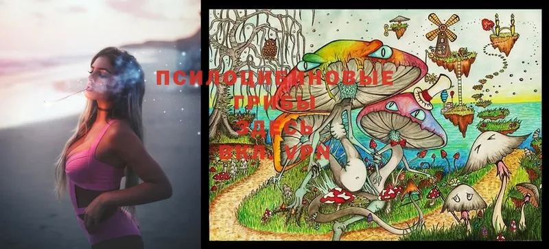 Галлюциногенные грибы Psilocybe  Пойковский 